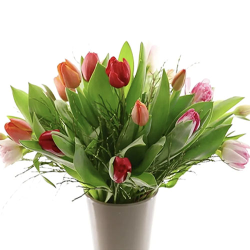 Bunter Tulpenstrauß