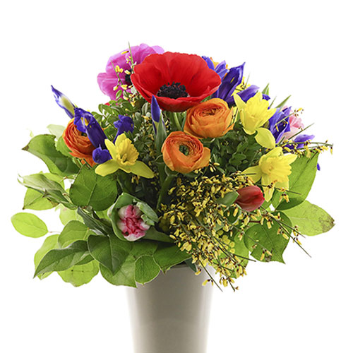 Bunter Frühlingsgruß